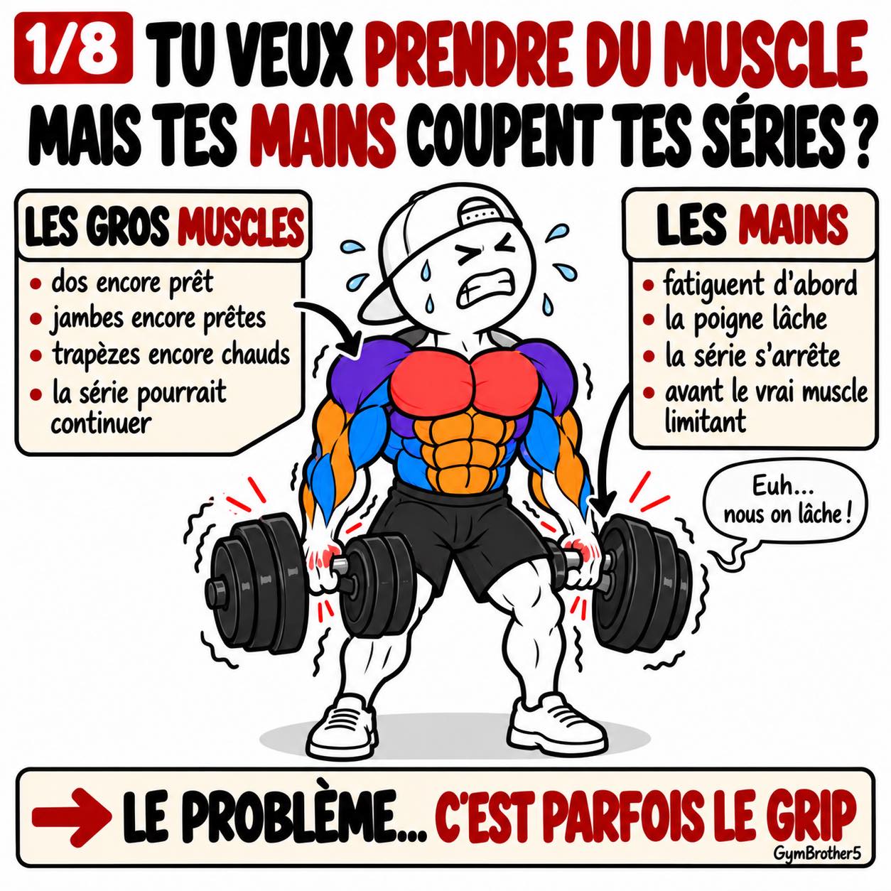 Média de la publication de gymbrother5